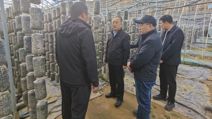 必一体育赴卓尼县开展乡村振兴帮扶调研暨结对关爱工作