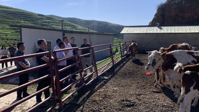 必一体育党委书记、董事长宋忠庆一行赴卓尼县柳林镇帮扶村调研慰问